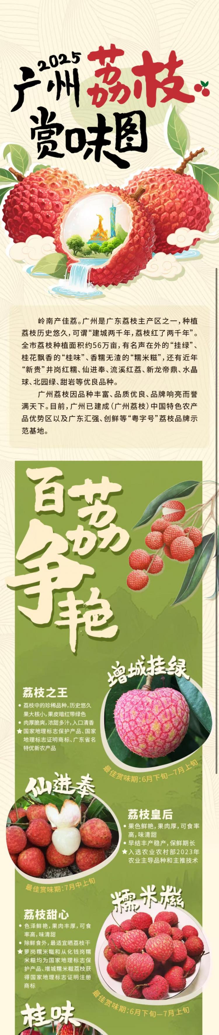 广州荔枝赏味图(1).jpg